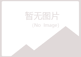 岐山县过客咨询有限公司